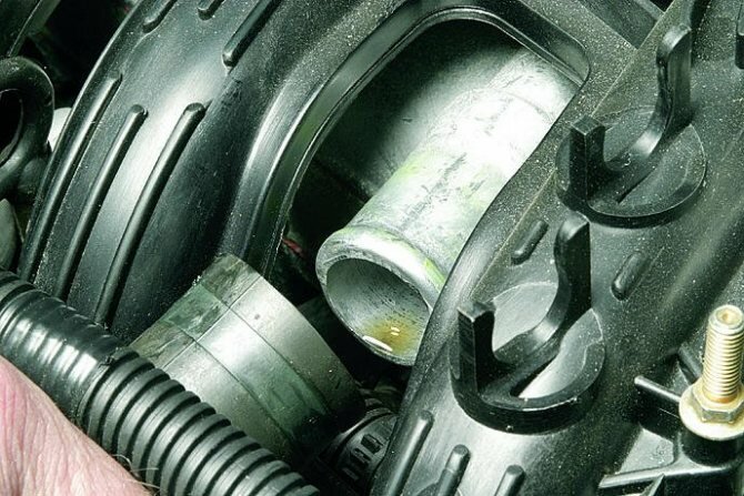 Снятие подводящего шланга малой ветви системы вентиляции картера с крышки головки блока цилиндров двигателя ВАЗ-21126 Лада Гранта (ВАЗ 2190)